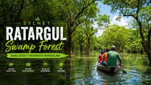 Boat tour through Ratargul Swamp Forest in Sylhet Bangladesh