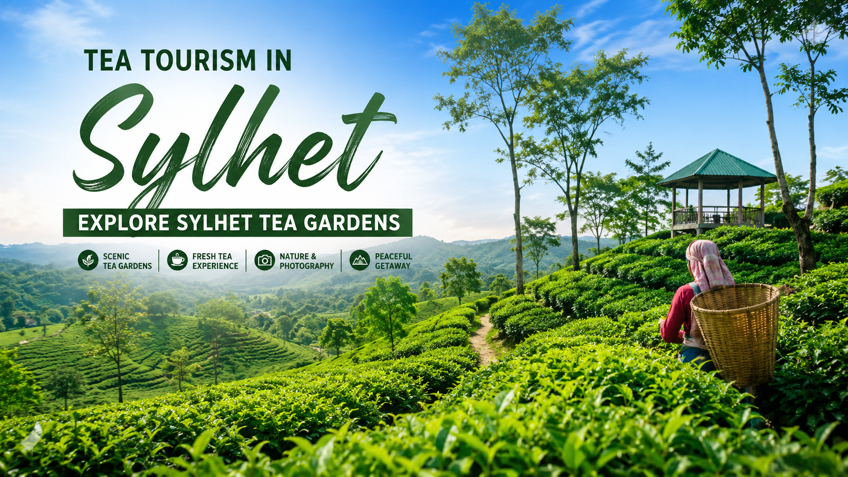 Tea Tourism in Sylhet – Beautiful Green Tea Gardens in Bangladesh